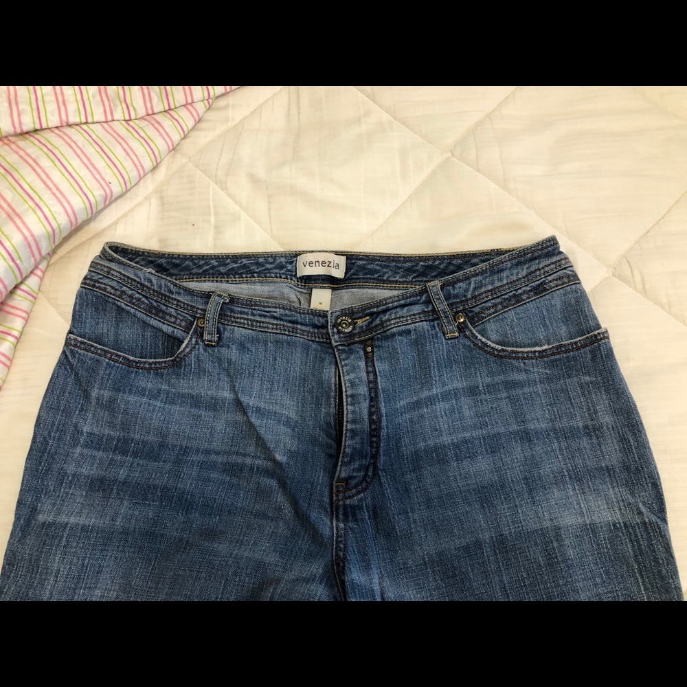 Venezia Lane Bryant jeans